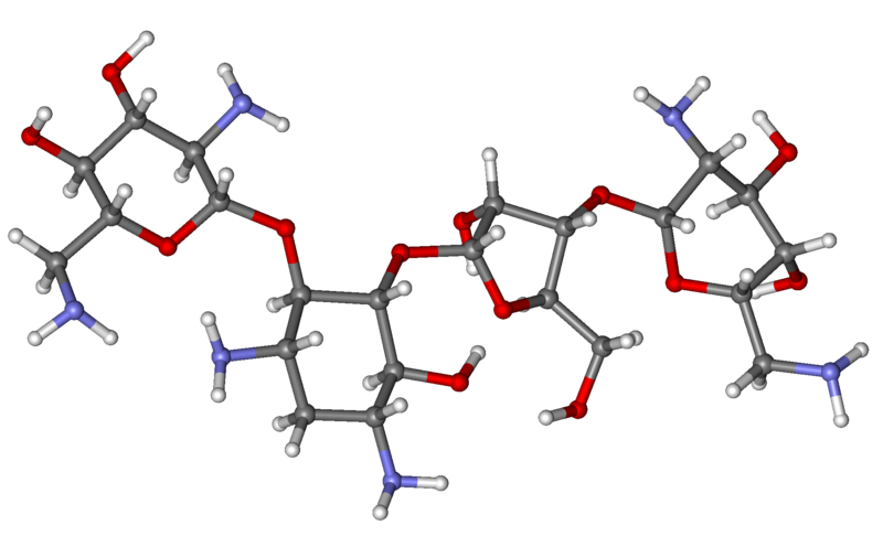 The Neomycin complex