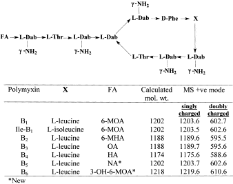 Polymyxin b complex