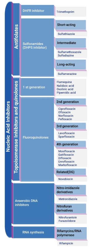 Nucleic Acid synthesis